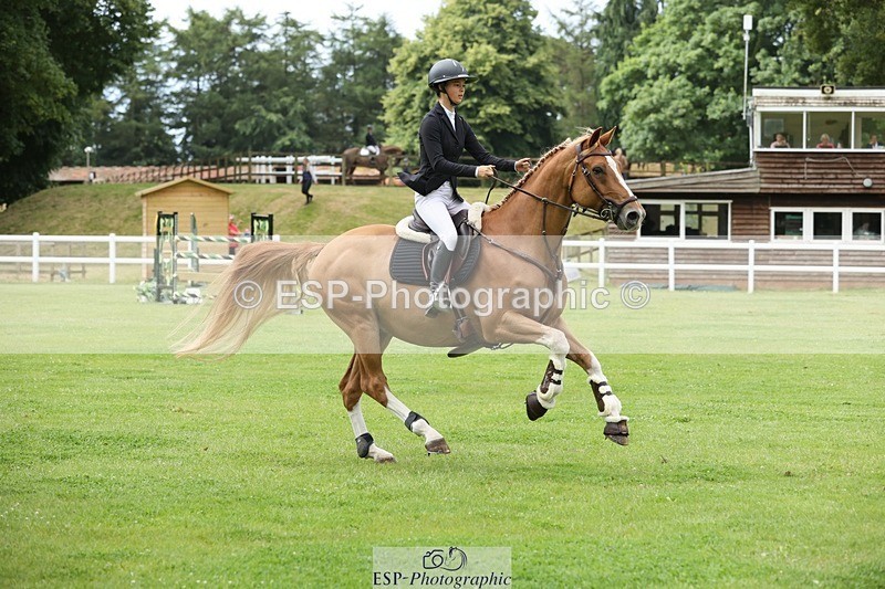 240704-102138-01838 - Cls 1 Foxhunter