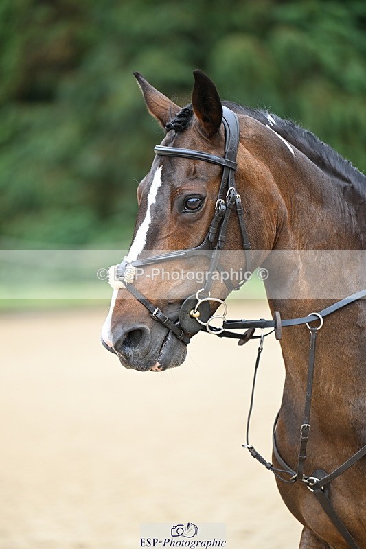 250726A-105102-01743 - Cls 04 PC90cm