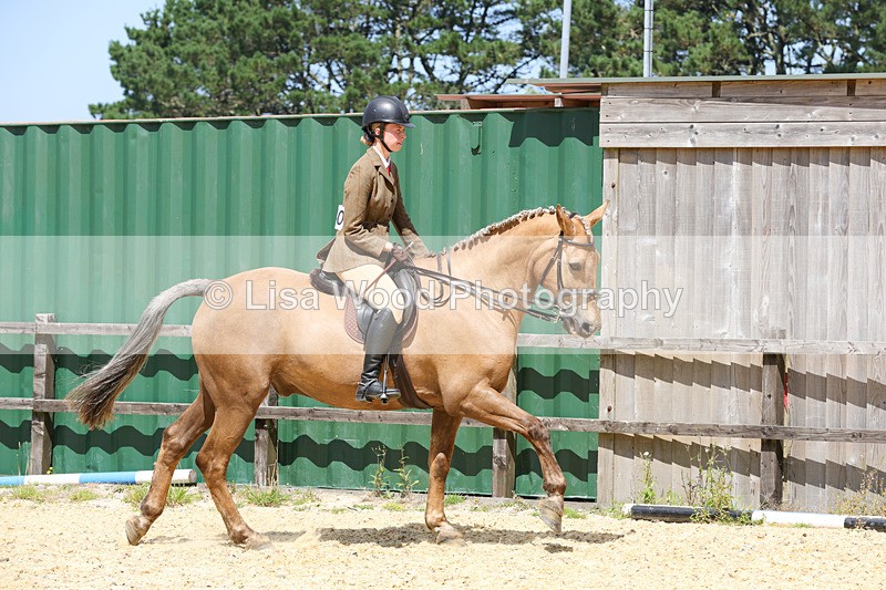 1X9A8789 - Class 19: Riding Club Horse