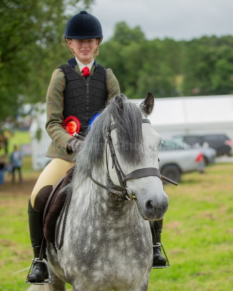 Dunblane show-651 - Dunblane and Doune Show Ring 1