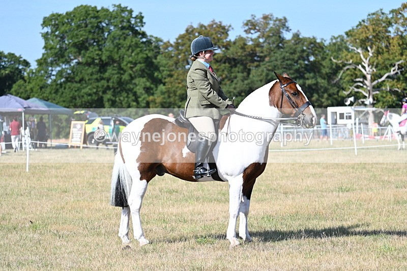 WJ7_2948 - Class 8 Ridden Tack & Turnout