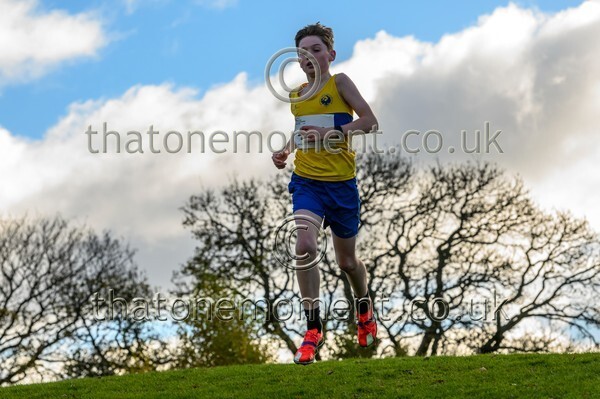 NatRel25-914074 - Young Male Set One