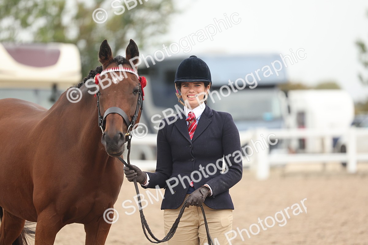 SBM_19873 - Class 318 - IH Part Bred Horse-Pony