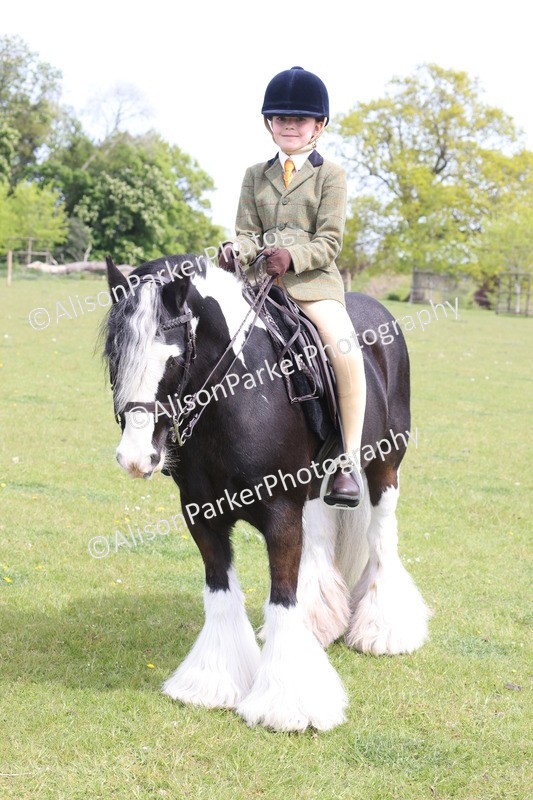 20260426-3026 - Class 33 - Best Pony 14.2hh and Under