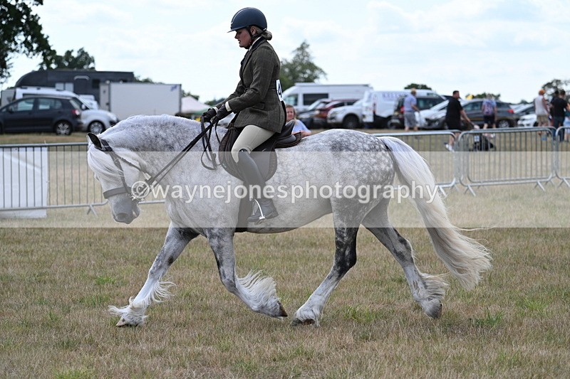 WJ7_5284 - Class 12 Ridden Cob
