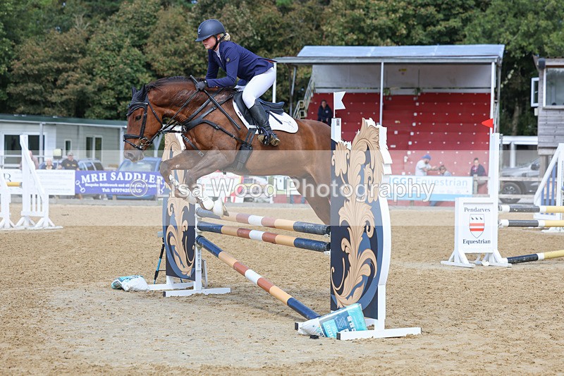 3E7A9334 - Class 9: Senior British Novice/90cm open