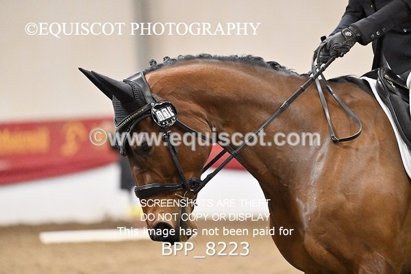 BPP_8223 - INTRO 1