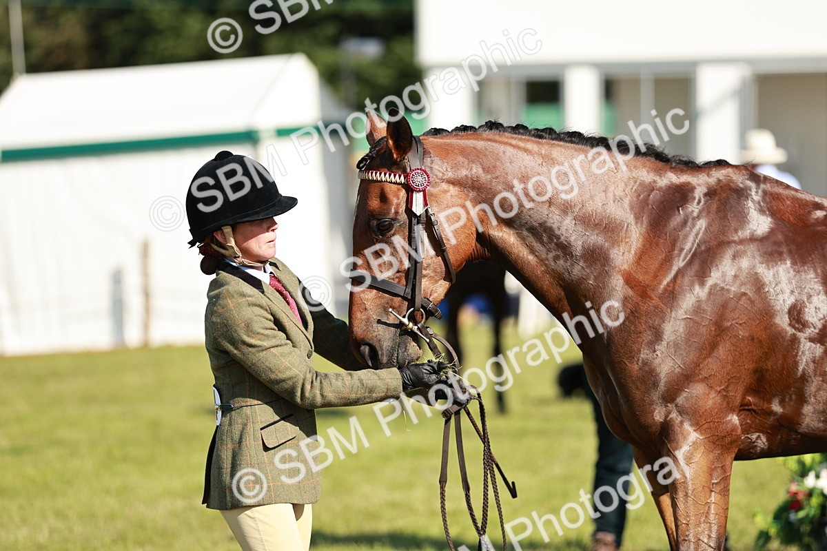 SBM_19284 - Class 115-116 - LIHS BSHA Rising Star Working Hunter & Show Horse