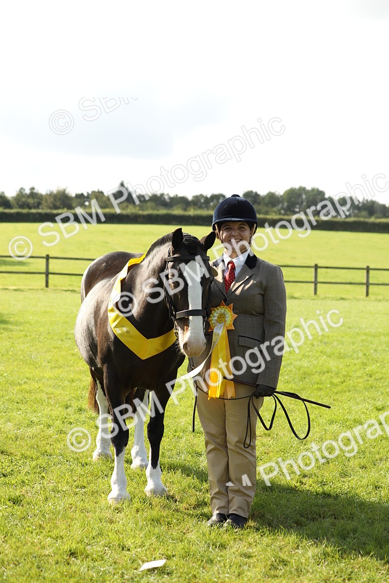 SBM_62357 - S45 - Mini Show Cob In Hand