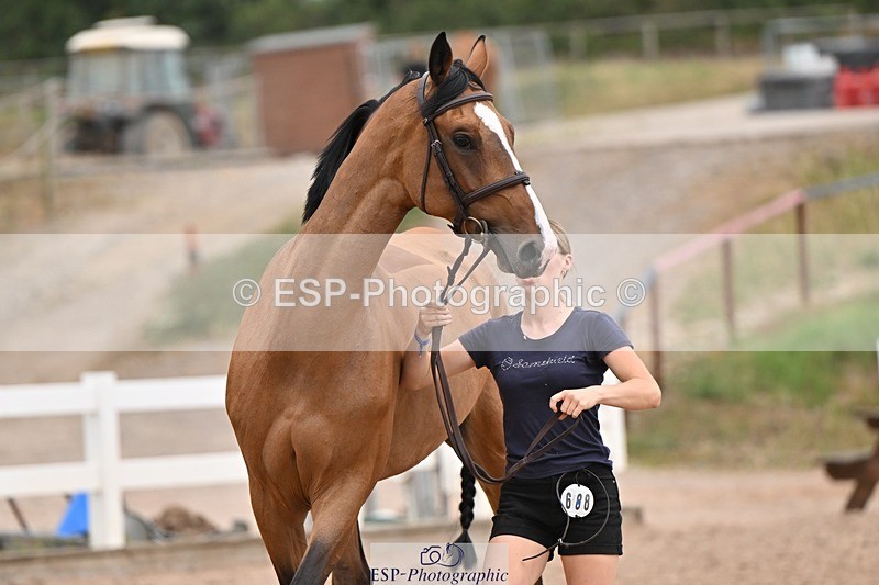 250716-160001-02320 - Trot Up 3.30 to 4.30