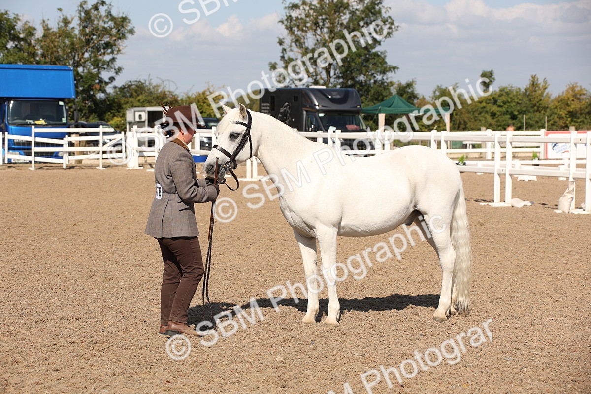 SBM_02786 - Class 16 IH M&M Wildcard