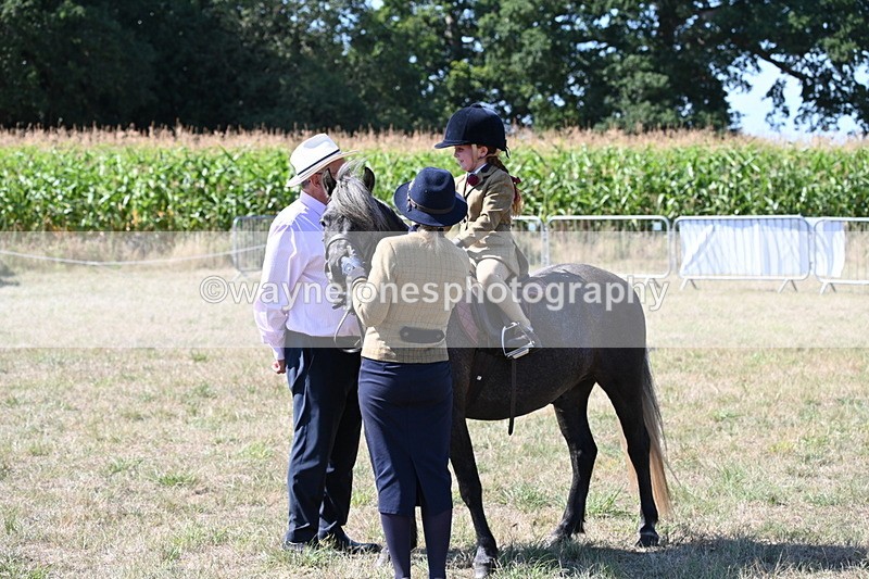 WJ6_7939 - Class 36 Lead Rein