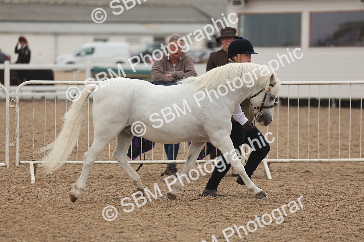 SBM_00464 - Class 13 Young Handler