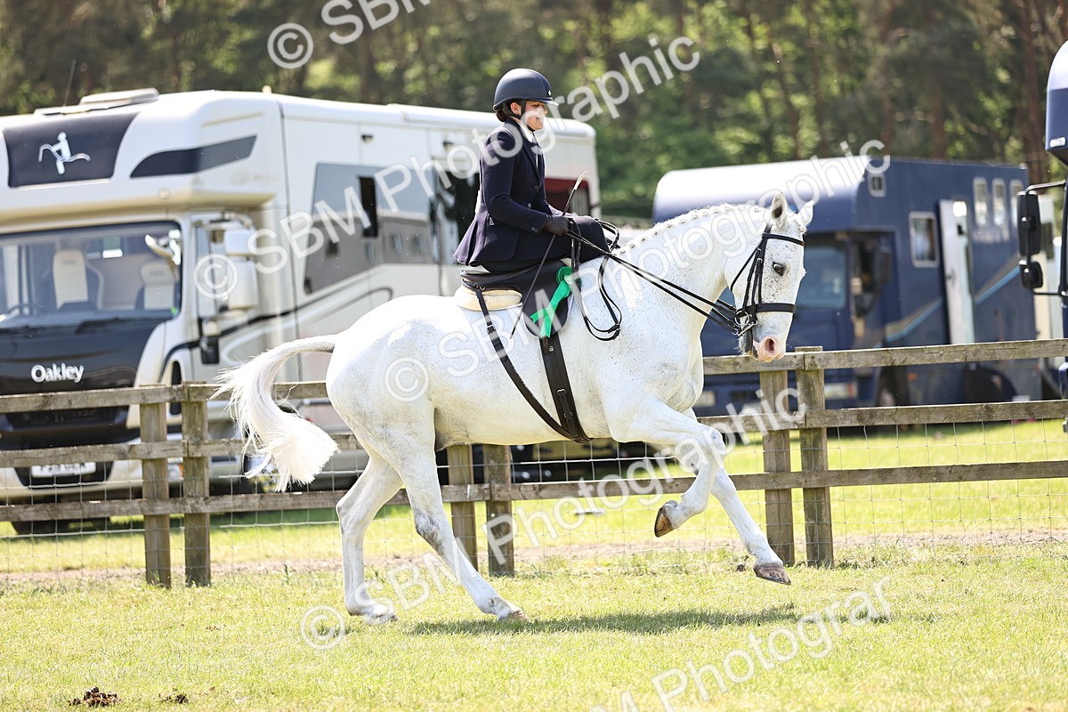SBM_15256 - Class 79-80 - LIHS BSHA Rising Star Ridden Hunter