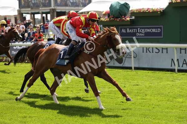 yr10062022r3-41 - Race 3 3.00pm British EBF supporting Racing with Pride Fillies' Handicap