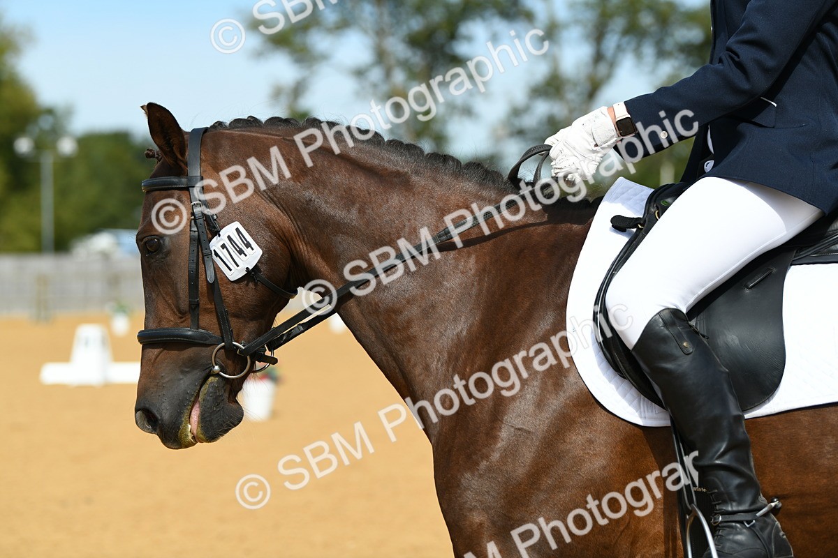 SBM_20850 - D13 - Grand Tour Championship - Prelim 12