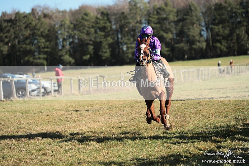 PR PtP 240126 353 - Pony Racing Horseheath 24/01/26