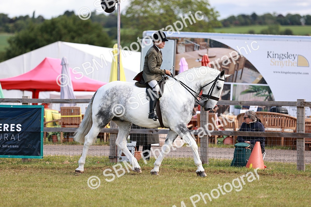 SBM_13994 - Class 85-87 - RIHS Cobs