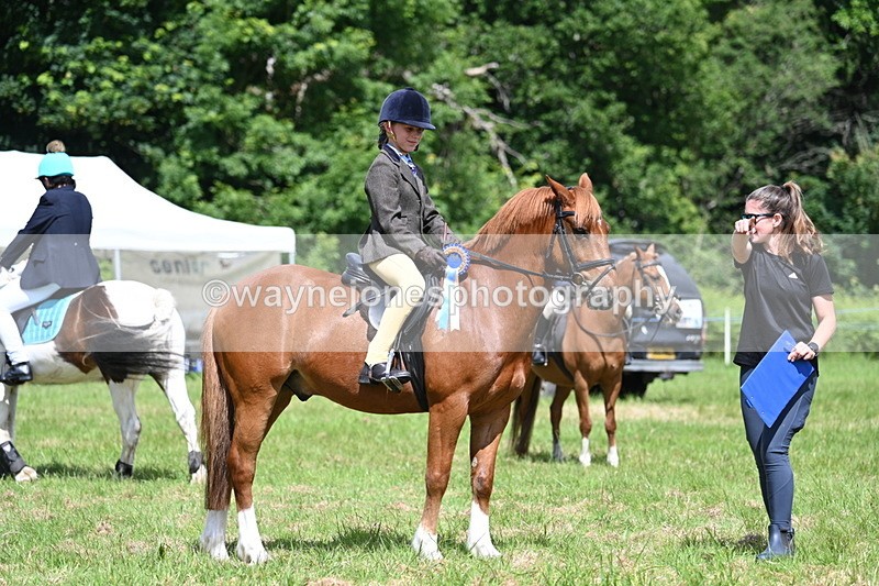 WJ7_1786 - Class 9 Pony Club Pony