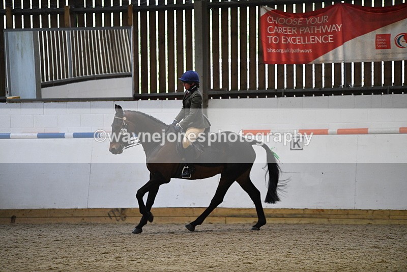 WJ5_8003 - Class 13 Ridden Part Breed