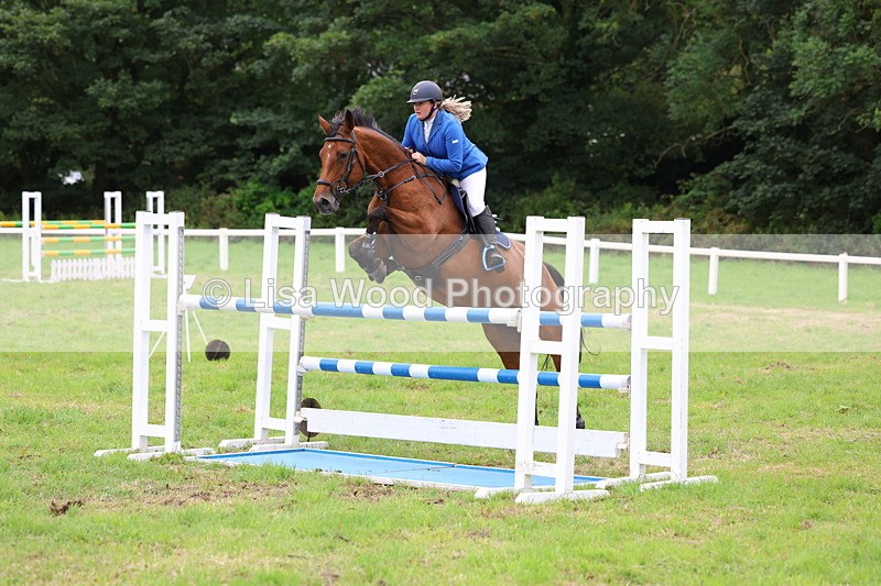 3E7A8410 - Class 8: Senior Foxhunter/1.20m open