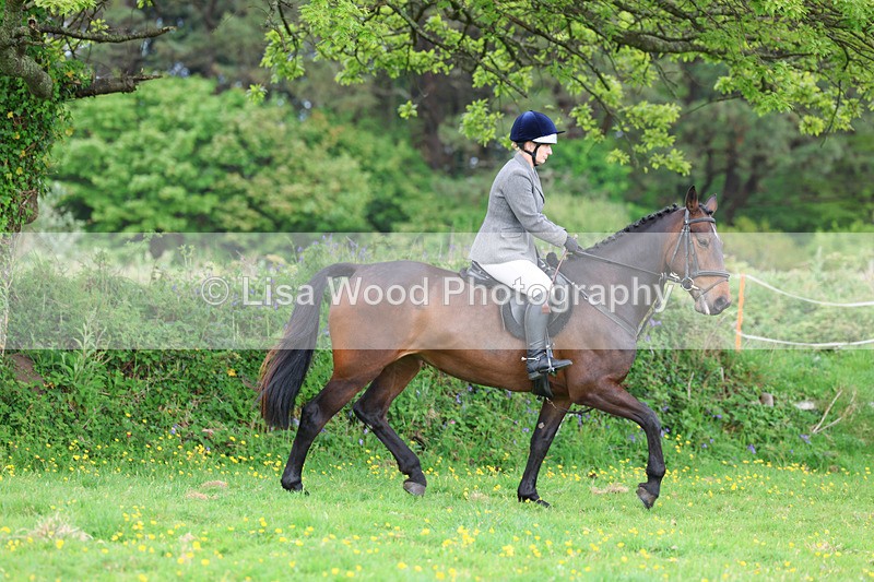 3E7A1106 - Class 7: Ridden Hunter Type