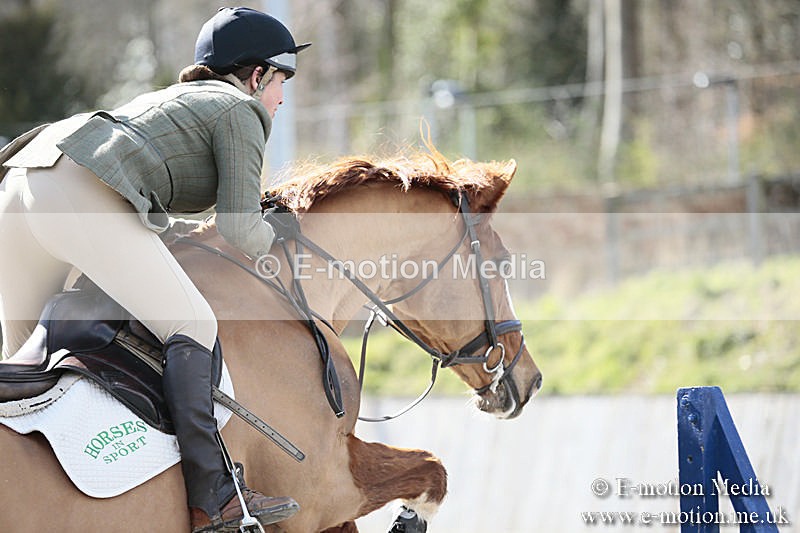 BVRC SJ 170319 389 - Bourne Valley Riding Club Showjumping 17/03/19