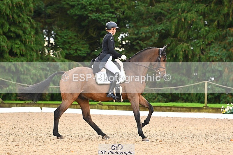 231021-093519-12564 - 225-DHI.ROCKETMAN-Emily.King-DR