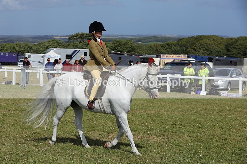 1X9A5777 - Class 40: NPS Welsh A & B
