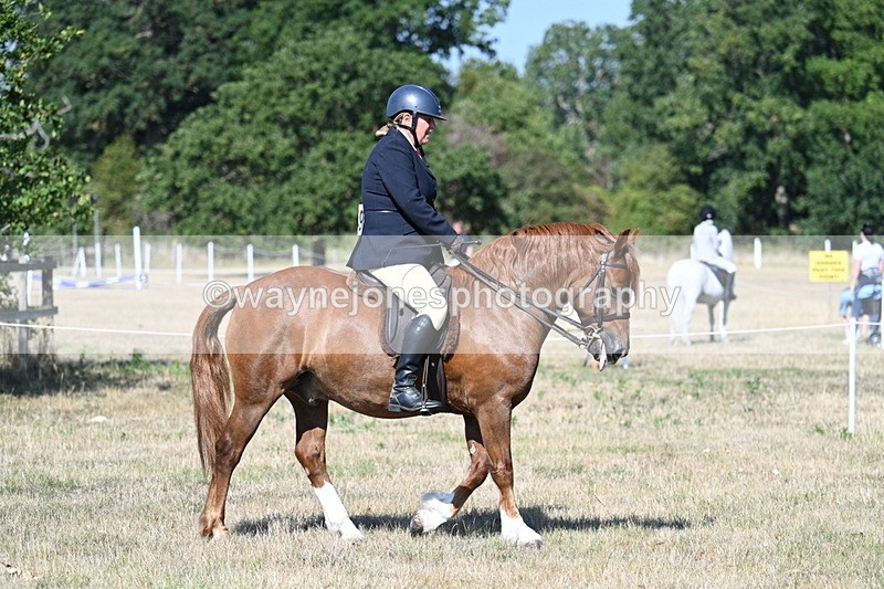 WJ7_3407 - Class 9 Mountain & Moorland Ridden