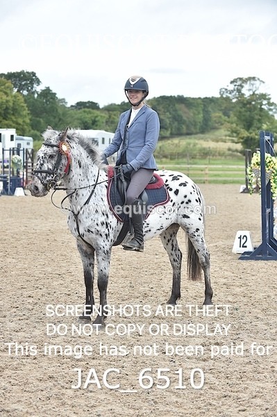 JAC_6510 - CLASS 13 SUN British Novice / 0.80m Open