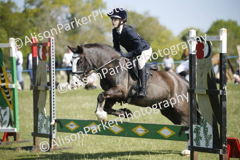 20250427-2039 - Class 13 - Novice Jumping 60cm