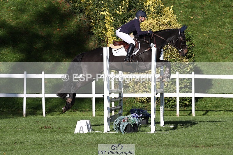 231022-105410-24821 - 657-WATERVALLEY.DIAMOND-Holly.Horton-TrotUp+SJ
