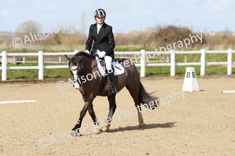 20260314-2944 - DR3 - Prelim 1