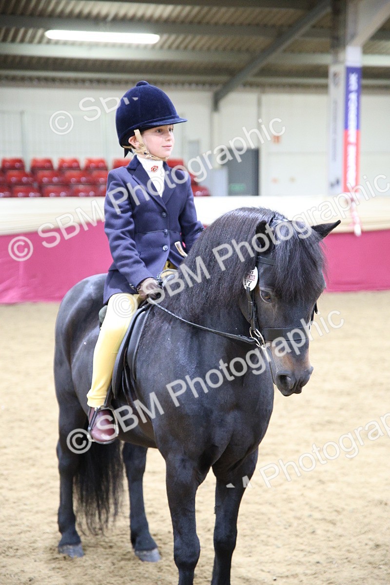 SBM_19037 - Class G Ridden Pony Champ