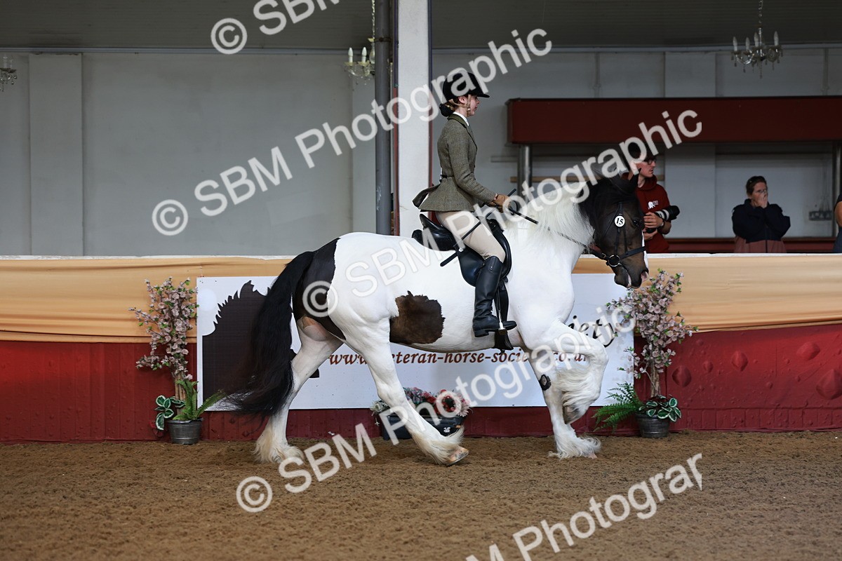 SBM_11821 - Class 102 - Equitation (Best Rider) Adult
