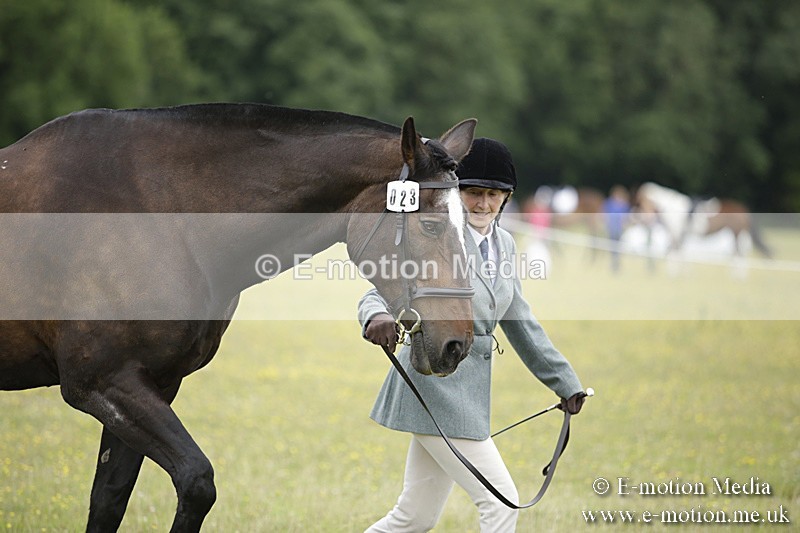 BVR160717-730 - Ring 2 BVRC Show 16/07/17