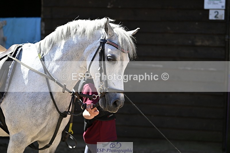 240728B-114440-00320 - Sunday Stable Shots and Fancy Dress