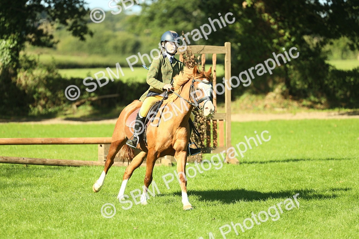 SBM_37445 - S29 - Novice & Newcomers Working Hunter Pony