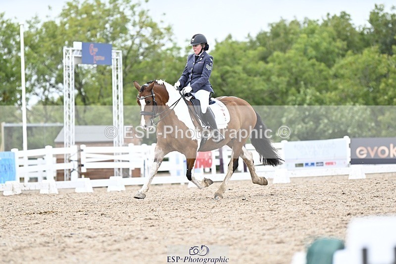 250907-164616-10765 - 112-Mel.DayDolderwydd.lucky.Maisie