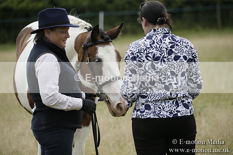 B230619-0698 - Bourne Valley Riding Club Summer Show 23/06/19
