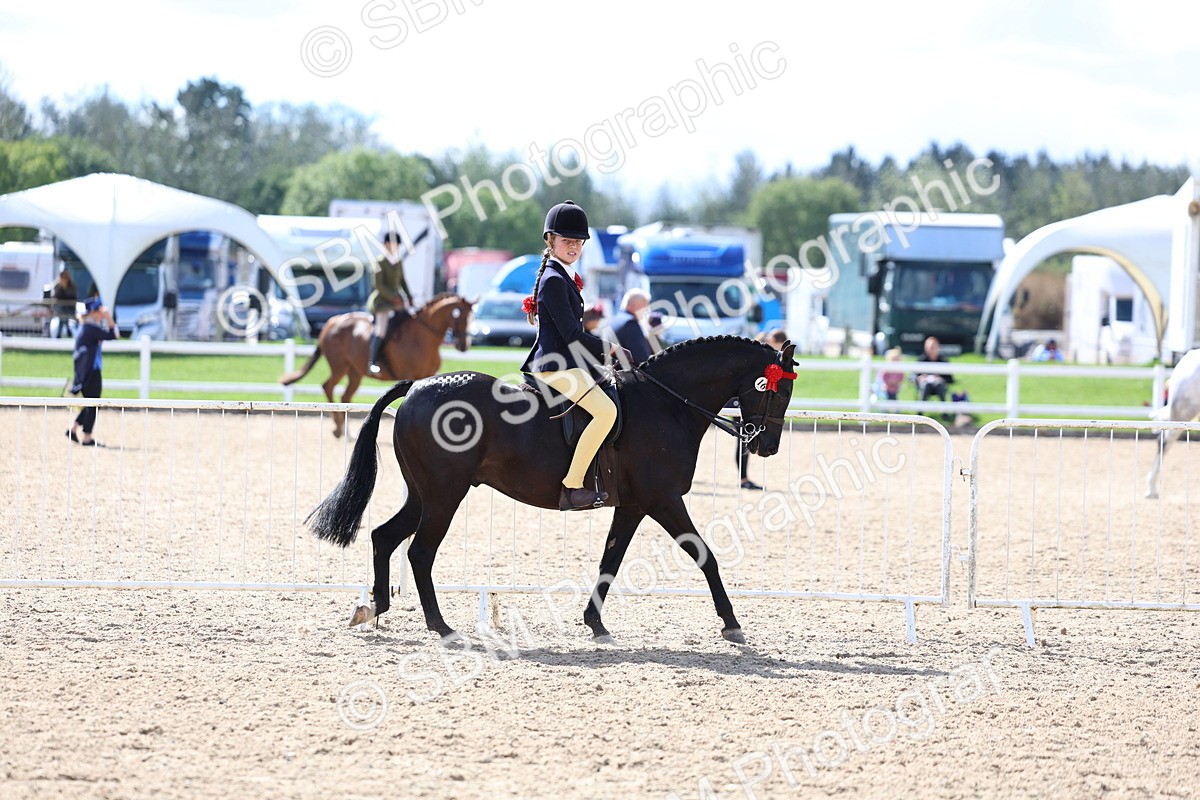 SBM_13245 - Class 311 - Ridden Show Pony Show Hunter Pony