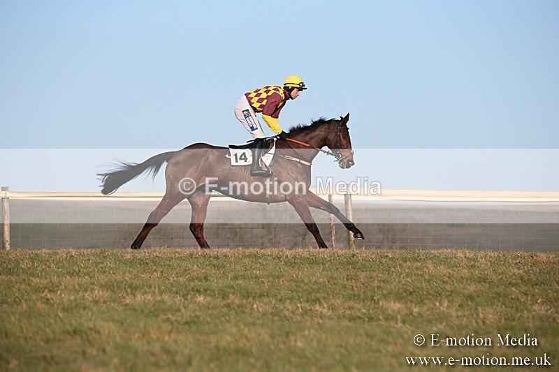 PtP 230219 611 - Vine & Craven Point-To-Point - Barbury 23/02/19