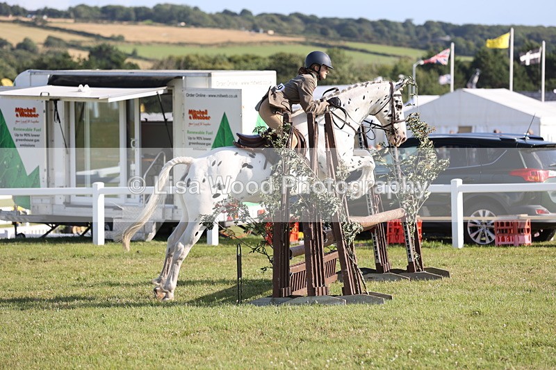 JPP_3177 - Class 21: Working Hunter 80cm