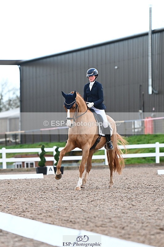 240218A-104324-06195 - 272-Beth.Bainbridge-Newton.Dreamcatcher