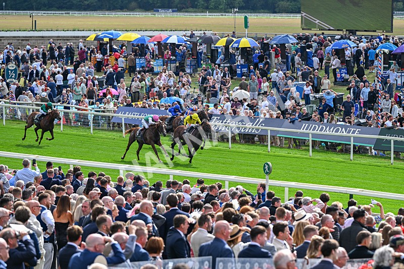 190826-Race 4-Item-1443 - Race 4 15.35pm Juddmonte International Stakes