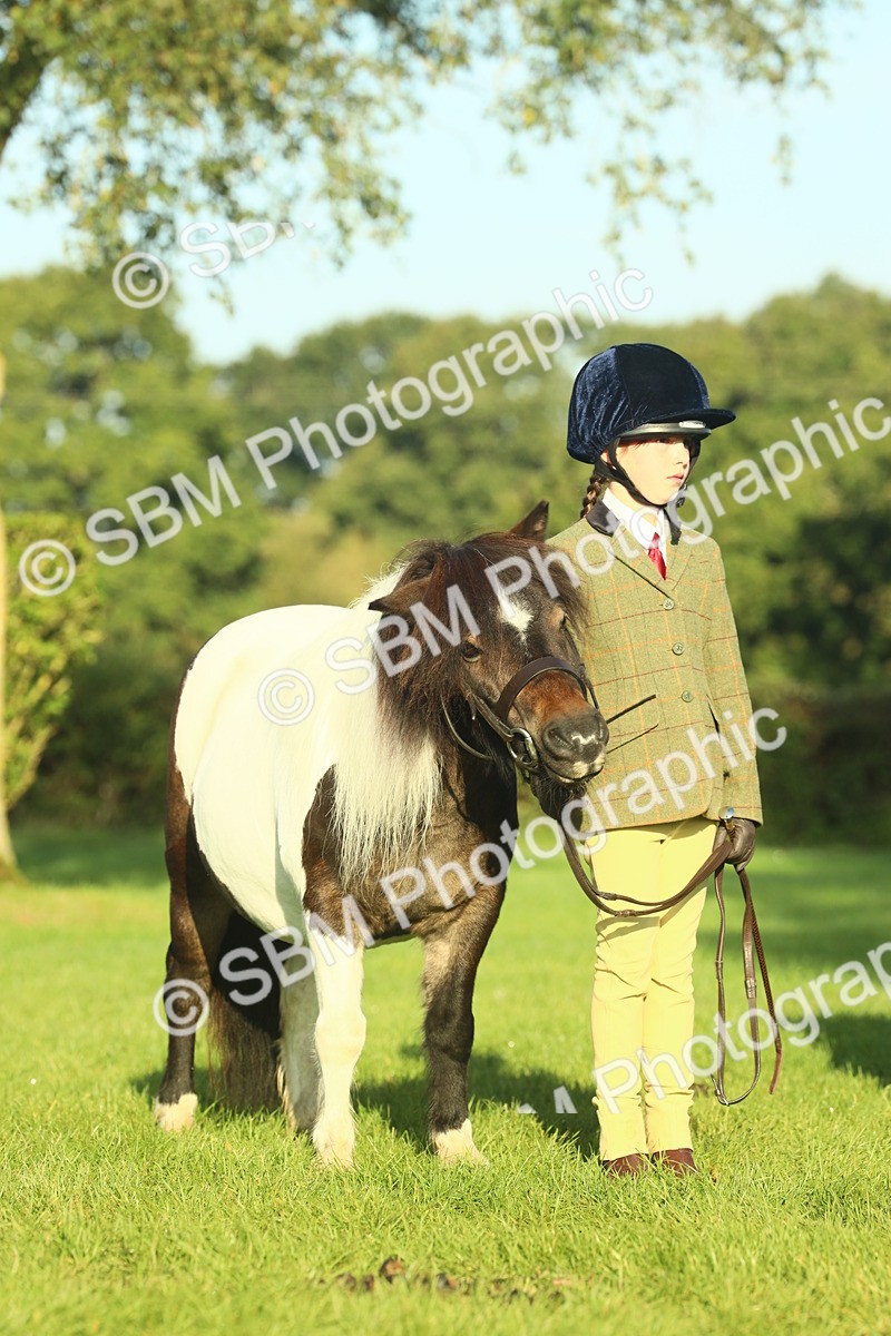 SBM_57445 - S37 - Starters In Hand Showing