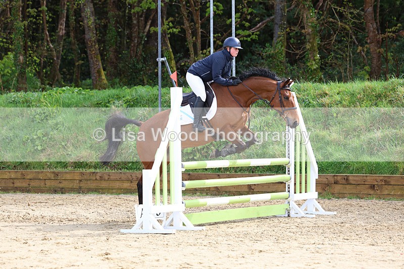 3E7A0808 - Class 4: Senior British Novice/90cm open