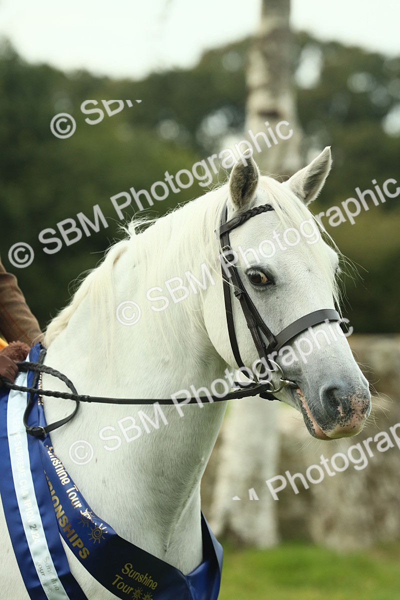 SBM_75207 - Super Supreme Championship