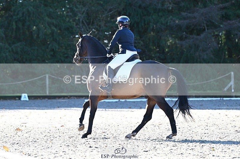 231110-105303-00241 - Cls 2 Prelim 17(a)Q